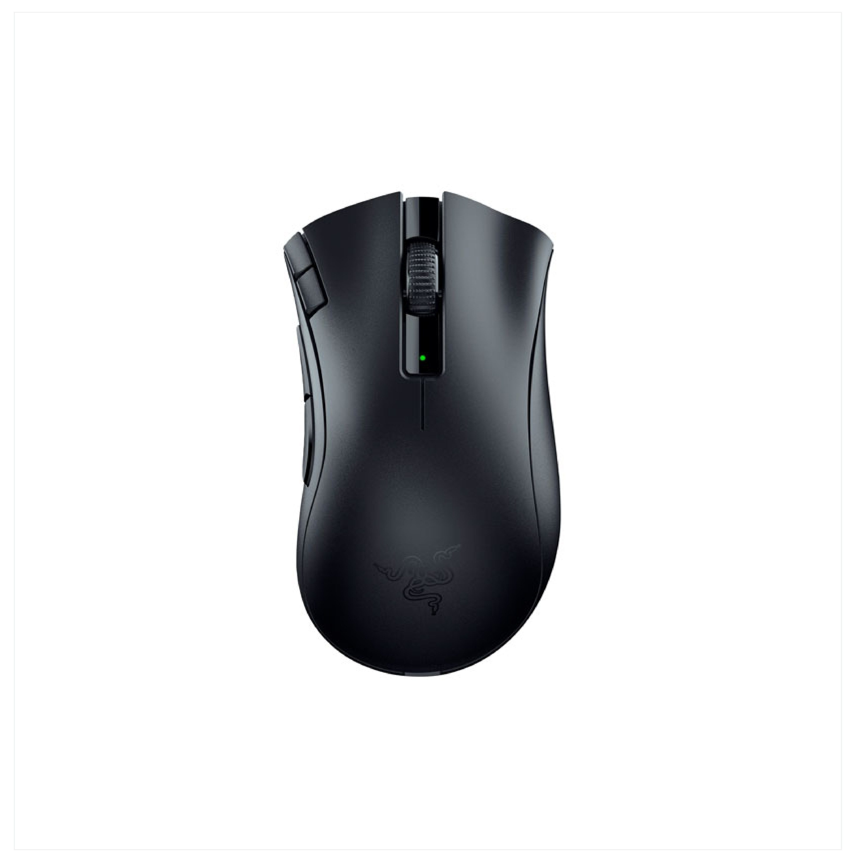 Computer Mouse