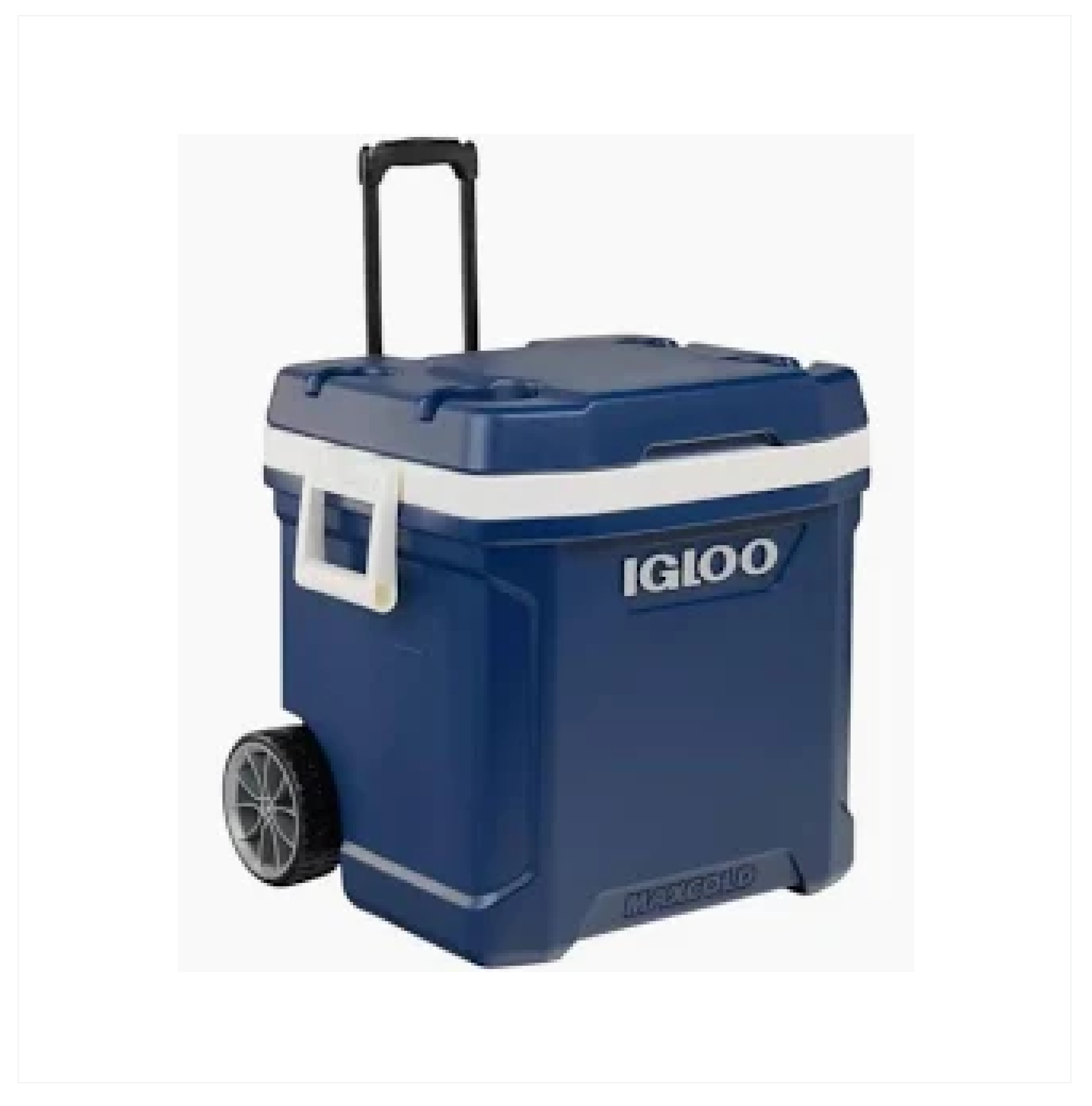 Coolers